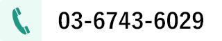 03-6743-6029