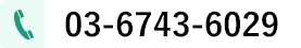 03-6743-6029